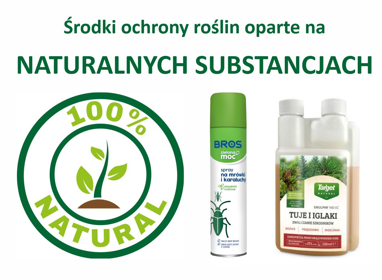 Banery_strona główna5.jpg